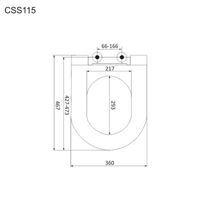 CSS115_2.jpg